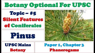 Silent features of Coniferales: Pinus: Structure and Reproduction: Phanerogams: UPSC Botany Videos