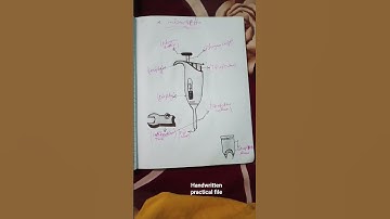 #b.sc #video#bsc semester 3rd zoology practical file dr.bimrao university Agra