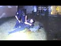 Fleeing Vehicle Hits Cop and K9 Takes it Personally