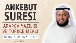 Ankebut suresi anlamı dinle Mishary Rashid Afasy (Ankebut suresi arapça yazılışı okunuşu ve meali)