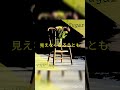 THE NU「Sugar」