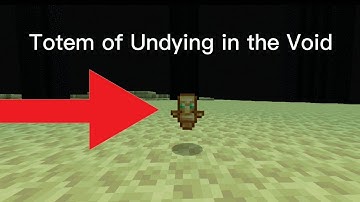 what happens when you use a Totem of undying in the void?