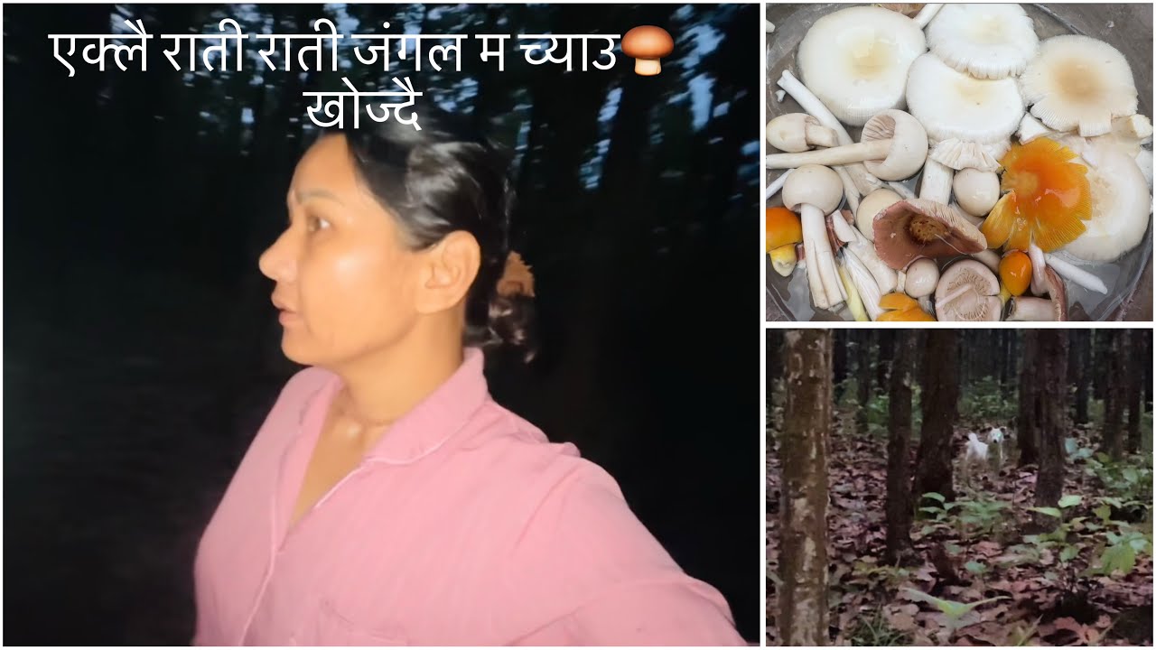 Rati yeklai jungle ma chyaw🍄 khojdai😯 