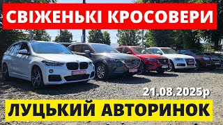 видео: СВІЖІ ЦІНИ НА КРОСОВЕРИ / ЛУЦЬКИЙ АВТОРИНОК / 21.08.25р #автопідбірлуцьк #колоритмоторс #автопідключ картинка: СВІЖІ ЦІНИ НА КРОСОВЕРИ / ЛУЦЬКИЙ АВТОРИНОК / 21.08.25р #автопідбірлуцьк #колоритмоторс #автопідключ