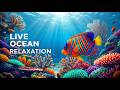 LIVE Tropical Fish & Coral Reef Relaxation 🌊 Peaceful Ocean Sounds for Sleep, Study & Stress Relief