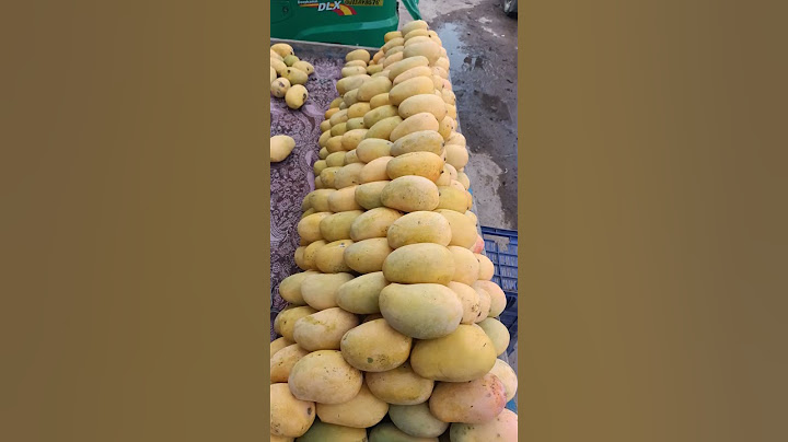 ₹100KG #mango #vlog
