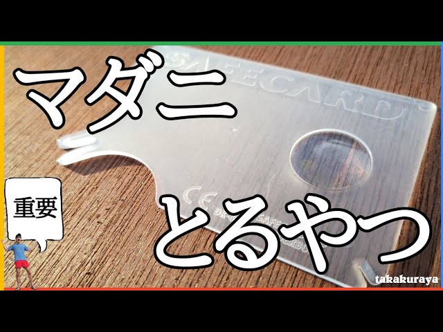 マダニ】マダニ除去カード「SAFE CARD」紹介【怖い】 - YouTube