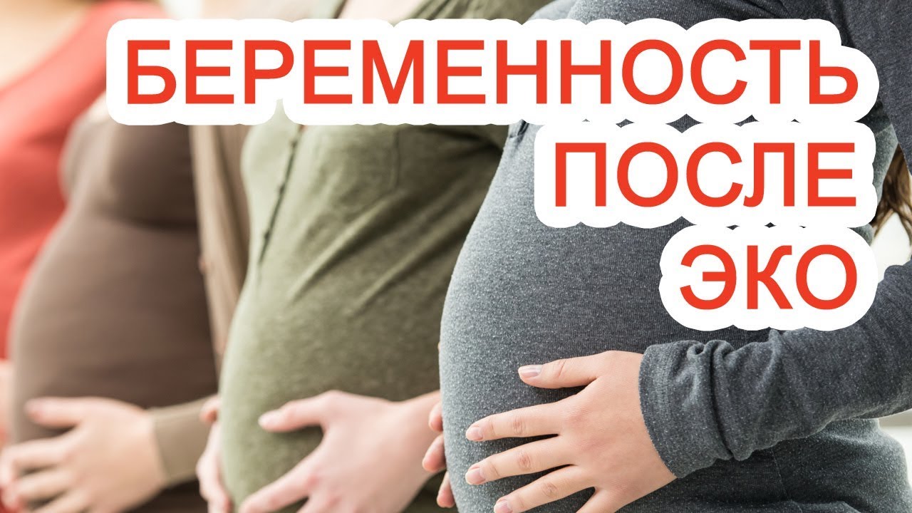 Забеременеть эко форум. Эко беременность. Эко беременность видео. Эко беременность противопоказания.