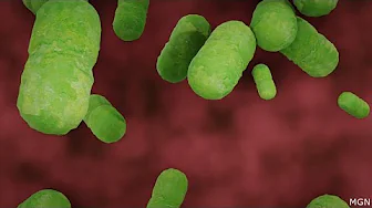 Covering Your Health: Listeria in deli meat sickens dozens Covering Your Health: Listeria in deli meat sickens dozens thumbnail