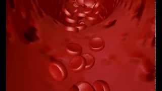 blood flow in c4d (free tutorial)