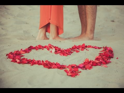Vídeo: O Amor é O Motor De Uma Família Feliz
