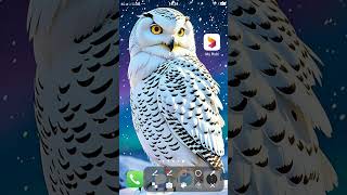 My Robi App All Option screenshot 4