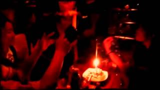 K5 Birthday Bush Created With