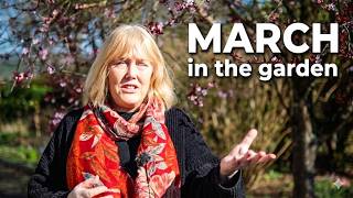 March in the Garden || Pruning, Seedlings & Lots of Weather
