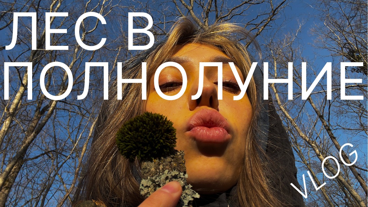 лесной влог))