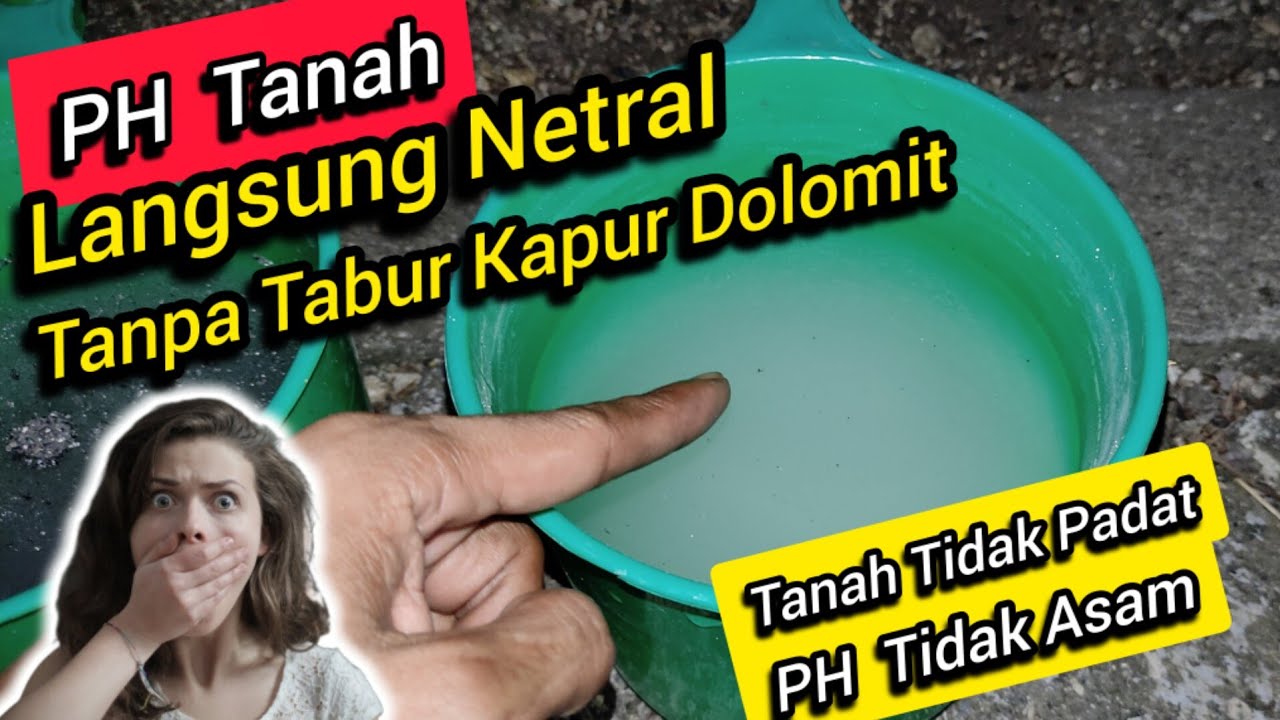 🔴 Rugi Tidak Nonton‼️ini bisa dengan Mudah Naikan PH Tanah Lahan Pertanian Anda Yang Asam 💥 #tanaman
