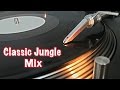 Jungle music mix 19941998  old skool jungle classics