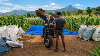 Powerful Corn Sheller at Work – Farming Technology