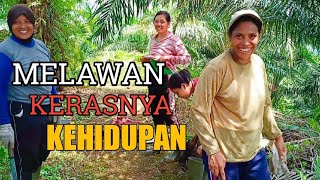 VLOG Wanita Tanguh Di Kebun Sawit