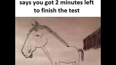 COMP 2150 A01 Lecture 8 (February 2, 2023)