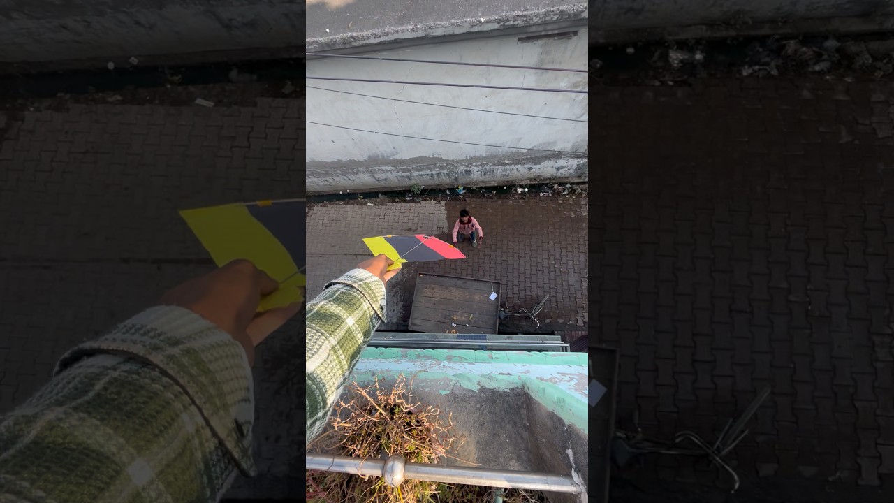 Duniya ki sabse badi patang 🪁de di bhai ko tree 🌳 se todh kar 😱😍!!