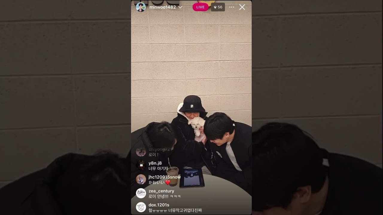 2026.02.01 ミヌ インスタライブ #ZEA #제국의아이들 #김태헌 #정희철 #하민우 #HaMinWoo