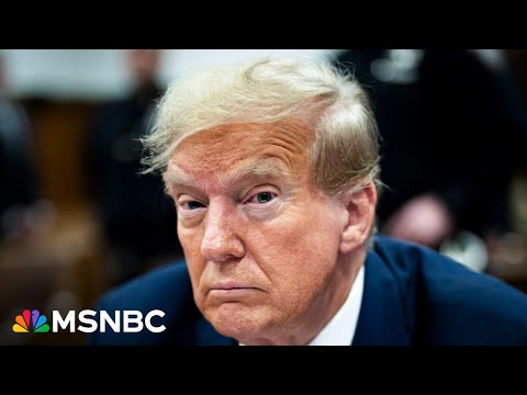 Trump 'couldn't get a job at the local mall': New ad hits Trump's legal woes
