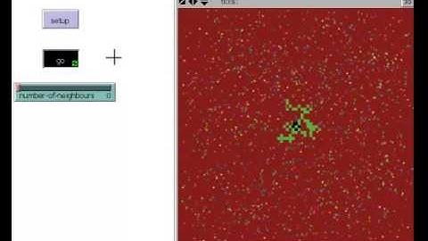 Neightbours Counting - NetLogo