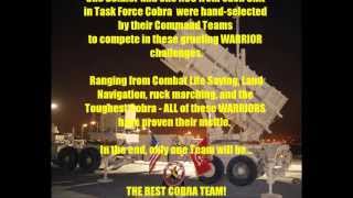 Task Force Cobra Best Cobra Competition 2013