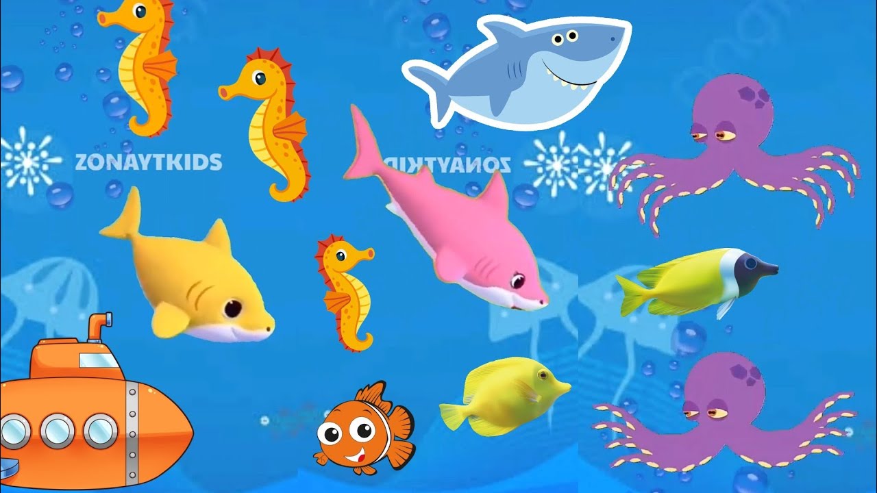 Adventure Baby Shark Dance Song with Animals Sea Baby Shark song Baby
