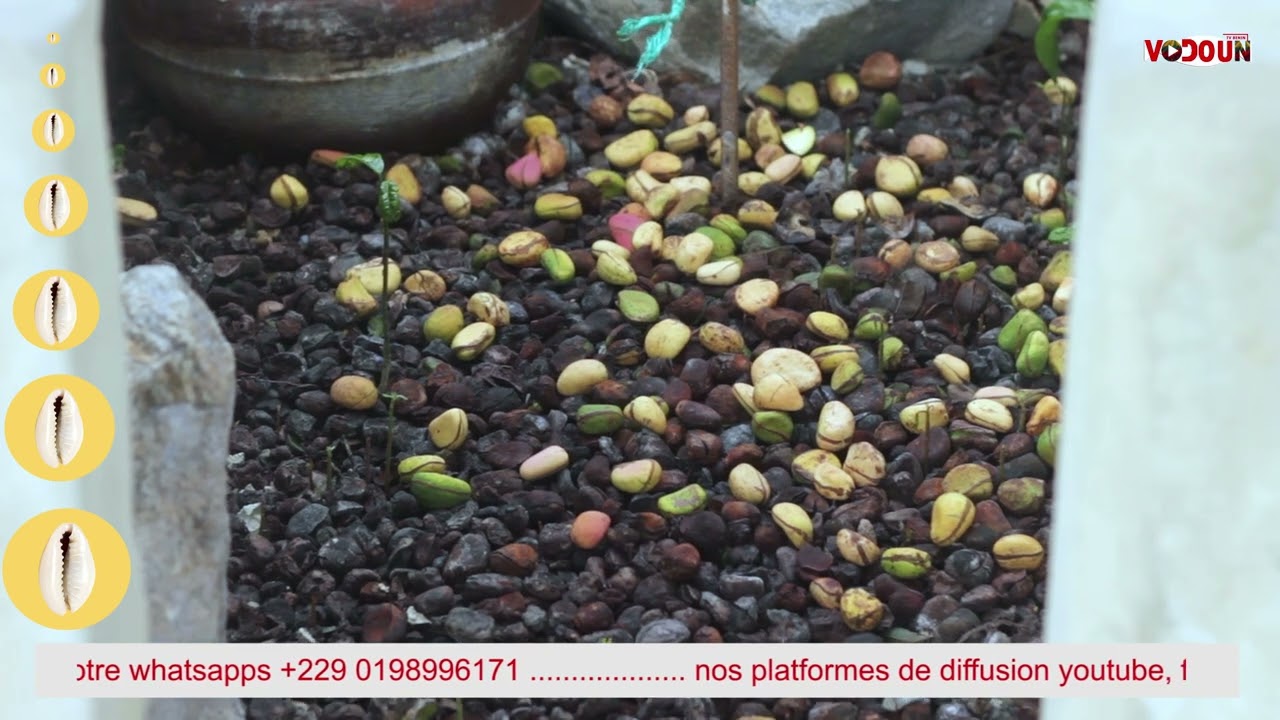 VODOUN TV BÉNIN // RENFORCEMENT DE LA DÉITÉ THRON KPÉTO DÉKA ALAFIA, QUELQUES EXPLICATIONS........