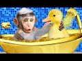 Baby monkey chu chu rescues a stuck duckling eats rainbow ice cream with duckling