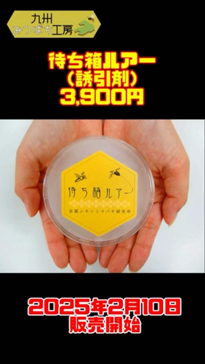 九州の分蜂は早いので全国に先駆けて待ち箱ルアー 販売開始しちゃい