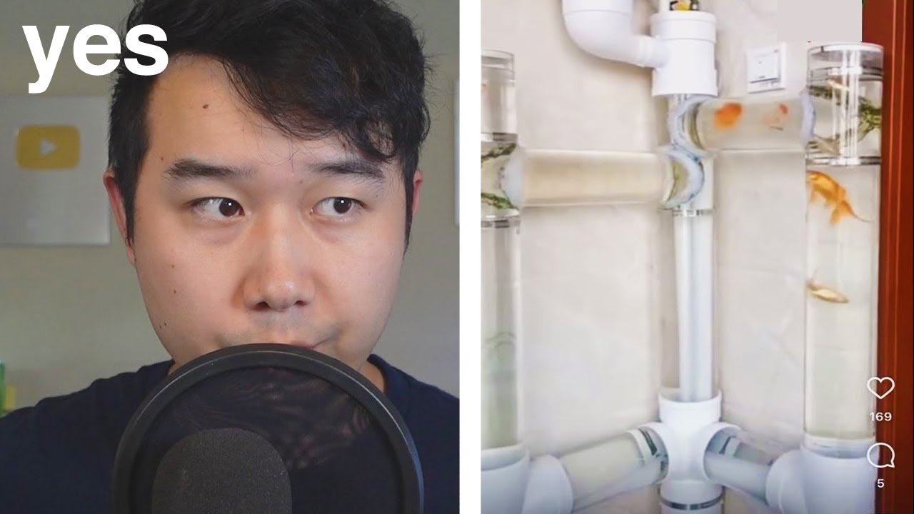 is this a good fish tank? Fish Tank Review 166 YouTube