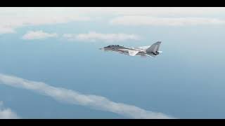 6 on 6 (Tomcat Phoenix Missile Combination)  WINGS F14 Tomcat Recreated in Dcs World