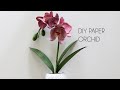 Diy paper orchid how to make paper flower handcut cricut or silhouette