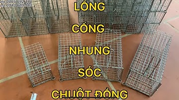 4 Kích thước lồng bẫy chuột đồng,cống nhung,sóc,sóc đất.các bác dùng nhiều nhất,báo giá từng mẫu.