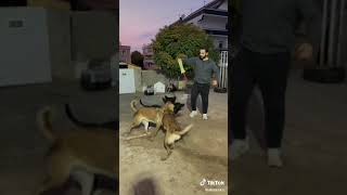 Lucy Rita Rambo Oyuncağın Peşinde