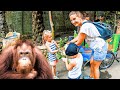 An unforgettable day at the bali zoo