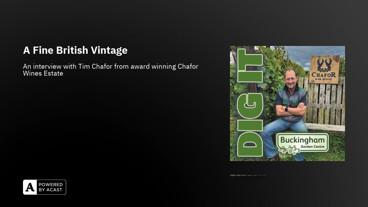 A Fine British Vintage