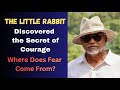 Where Does Fear Come From?| The Little Rabbit Who Discovered the Secret of Courage