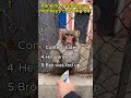 Top 5 moments of monkeys crashing out