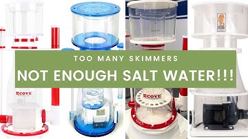 Too many skimmers, not enough water!!!! Cove skimmer shootout