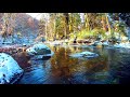 Calming Winter Forest River. Relaxing Nature Sounds. (10 hours). White noise for sleeping.