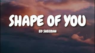 Ed Sheeran - Shape of You (Lyrics)
