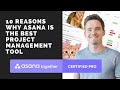 10 Reasons why Asana is the best project management tool (UPDATED!)