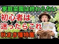 【迷っている方】秋の種まきは得しかありません　今からまける野菜の種特集　　　　【カーメン君】【園芸】【ガーデニング】【初心者】