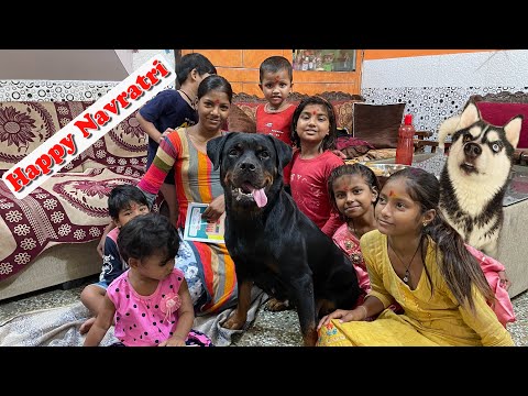 Roxy Protecting Girls || Dog can talk part 152 || Dog Video || Roxy cheeni || Review reloaded