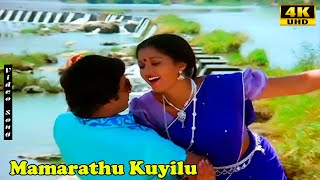 Mamarathu Kuyilu Song | Ilaiyaraaja | K.S.Chithra | Raja Rajathan | Full HD Song