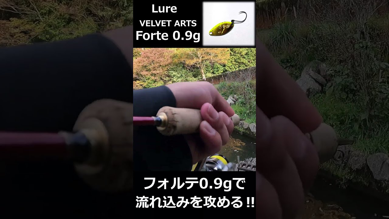 エリアトラウト　フォルテ0.9g 数釣りも大物もいけるマイクロスプーンは？【VELVET ARTS Forte